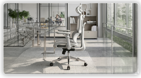 6D ročke in mehanizem