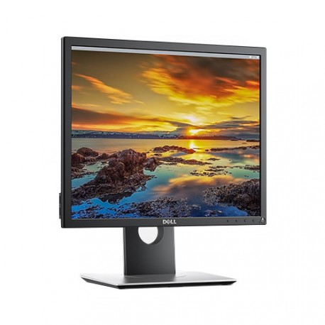 Monitor DELL P1917S