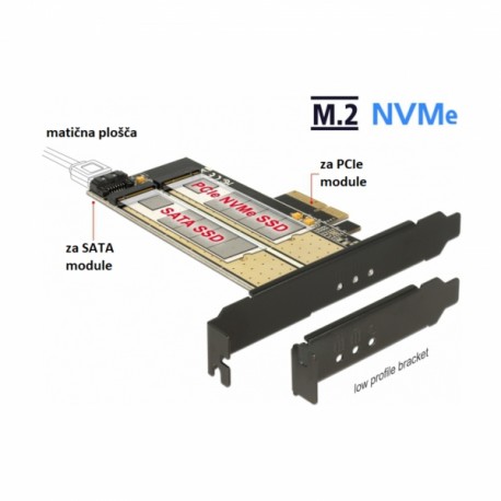 Razširitvena kartica Delock Delock 1xM.2 NGFF + 1x M.2 NVMe + Low Profile