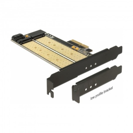 Kartica PCI Express kontroler x4 Delock 1xM.2 NGFF + 1x M.2 NVMe + Low Profile