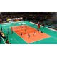 Igra Spike Volleyball (PC)