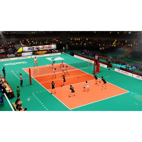 Igra Spike Volleyball (PC)