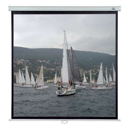 Stensko/stropno projekcijsko platno 200x200