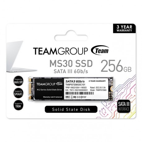 SSD disk 256GB M.2 SATA3 Teamgroup MS30, TM8PS7256G0C101