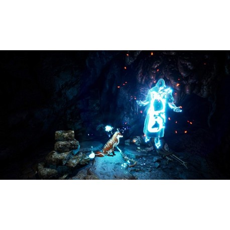 Igra Spirit of the North (PS4)