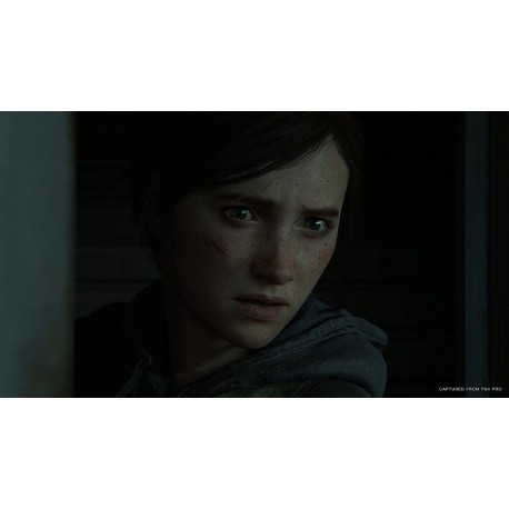 Igra The Last of Us: Part II (PS4)