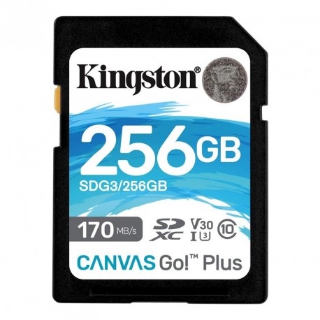 Spominska kartica SD KINGSTON Canvas Go! Plus 256GB Class 10 V30, SDG3/256GB