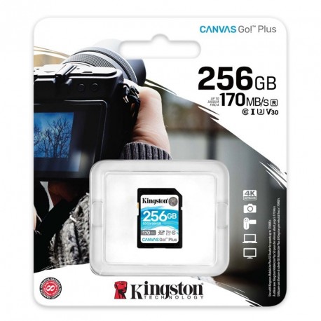 Spominska kartica SD KINGSTON Canvas Go! Plus 256GB Class 10 V30, SDG3/256GB