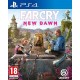 Igra Far Cry New Dawn (PS4)