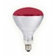 LED sijalka (žarnica) ASALITE IR sijalka E27 250W 2800K rdeča, ASAL0042