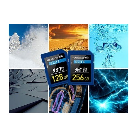 Teamgroup Elite 256GB SD UHS-I V30 90MB/s spominska kartica