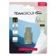 USB ključek 64GB Teamgroup C201, TC201364GG01