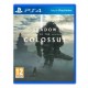 Igra Playstation Shadow of the Colossus PS4