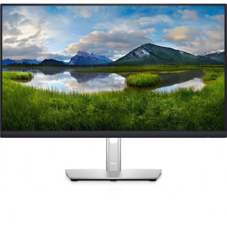 Monitor DELL P2422H