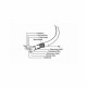 Kabel USB 3.1 A-C  1m bel Cablexpert 8519217