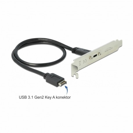 Adapter slot-USB 3.1 Gen2 Tip-C Delock 9703019