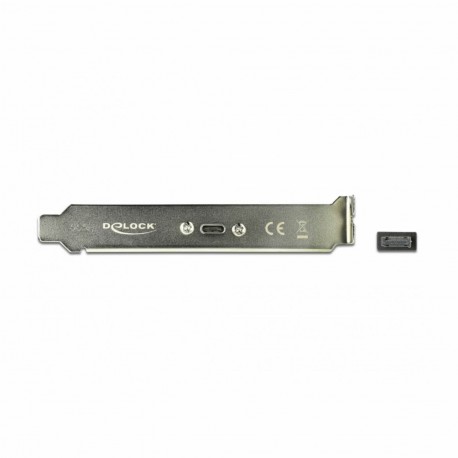 Adapter slot-USB 3.1 Gen2 Tip-C Delock 9703019