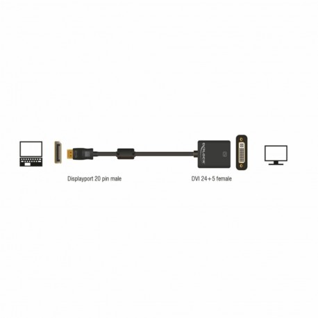 DisplayPort - DVI adapter 12cm Delock 9704067
