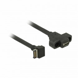 Kabel USB 3.1 Tip C - 20pin 0,45m za matično ploščo Delock 8519204