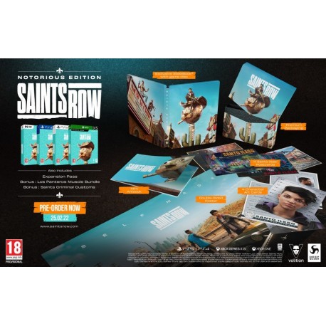 Igra Saints Row - Notorious Edition (PS4)
