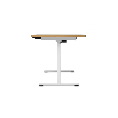 Ergonomska miza Ergovision Classic, bela/javor
