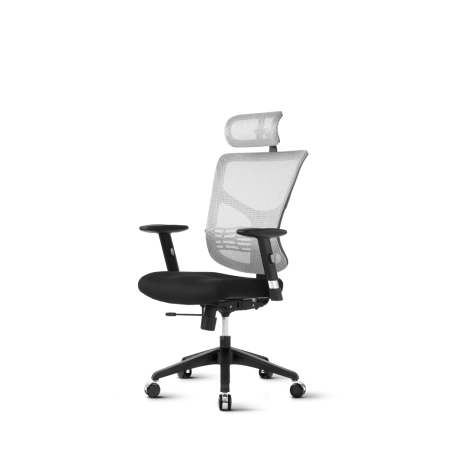 Ergonomski stol Ergovision Essent, belo/črn