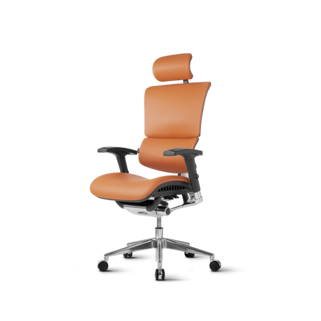 Pisarniški stol Ergovision SMART DELUXE 01 kamel