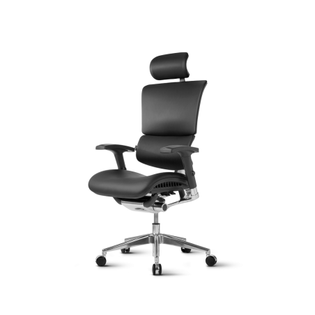 Pisarniški stol Ergovision SMART DELUXE 02 črn