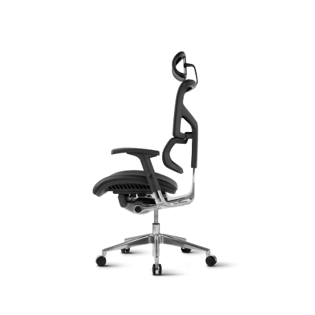 Pisarniški stol Ergovision SMART DELUXE, črn