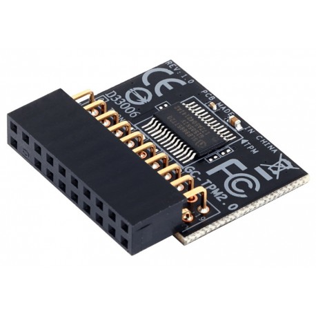Modul GIGABYTE GC-TPM2.0