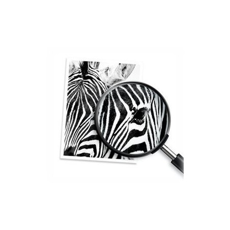 Črnilo HP 343 original ink cartridge tri-colour standard capacity 7ml 330 pages