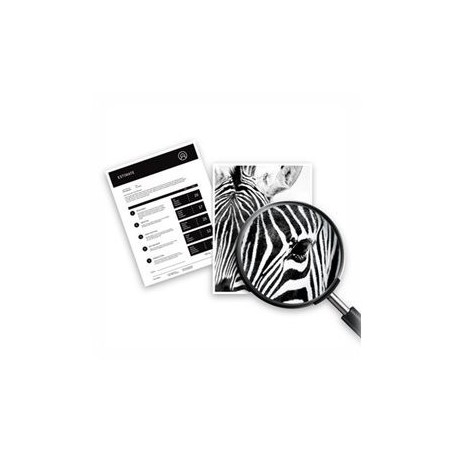 Črnilo HP 62, črno, C2P04AE#ABE