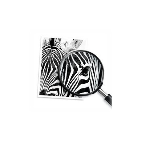 Črnilo HP 932XL original ink cartridge black high capacity 1.000 pages 1-pack Of