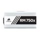 Napajalnik 750W CORSAIR RM750x CP-9020187-EU, modularen