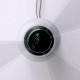 Videokonferenčna 360° kamera Meeting Owl Pro