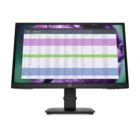 Monitor HP P22 G4