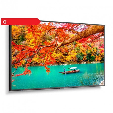 Monitor NEC MultiSync MA431