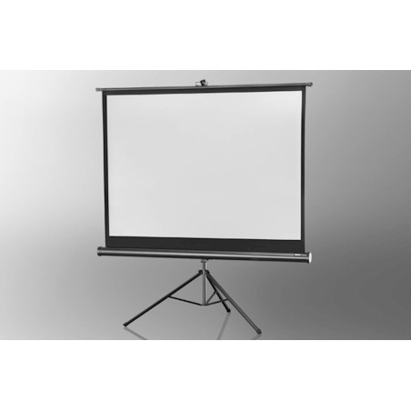 Projekcijsko platno Epson, 244x244 cm, prenosno