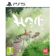 Igra Hoa (Playstation 5)