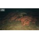 Igra Saint Kotar (Playstation 4)