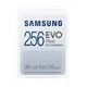 Pomnilniška kartica SAMSUNG EVO PLUS SDXC 256GB UHS-I