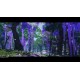 Igra Ghost of Tsushima: Director’s Cut (Playstation 4)