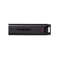USB ključek KINGSTON 256GB USB3.2 Gen 2 DataTraveler Max
