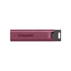 USB ključek KINGSTON 256GB USB3.2 TypeA DataTraveler
