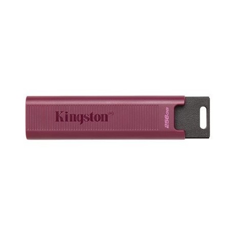 USB ključek KINGSTON 256GB USB3.2 TypeA DataTraveler
