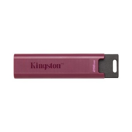 USB ključek KINGSTON 256GB USB3.2 TypeA DataTraveler