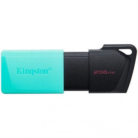 USB ključek Kingston 256GB DataTraveler Exodia M