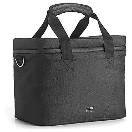 Prenosna baterija Powerbank EcoFlow River Bag prenosna torba za naprave serije R