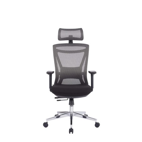 Pisarniški stol Ergovision Taurus, siva