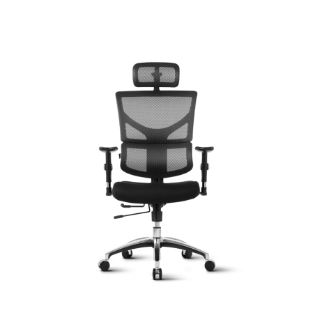 Pisarniški stol Ergovision SMART BASIC črn